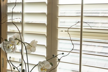 Lynnwood shutters